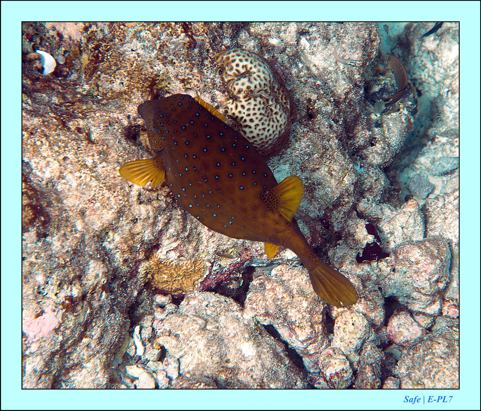 2023 - 07 - Sandies Bathala - 187